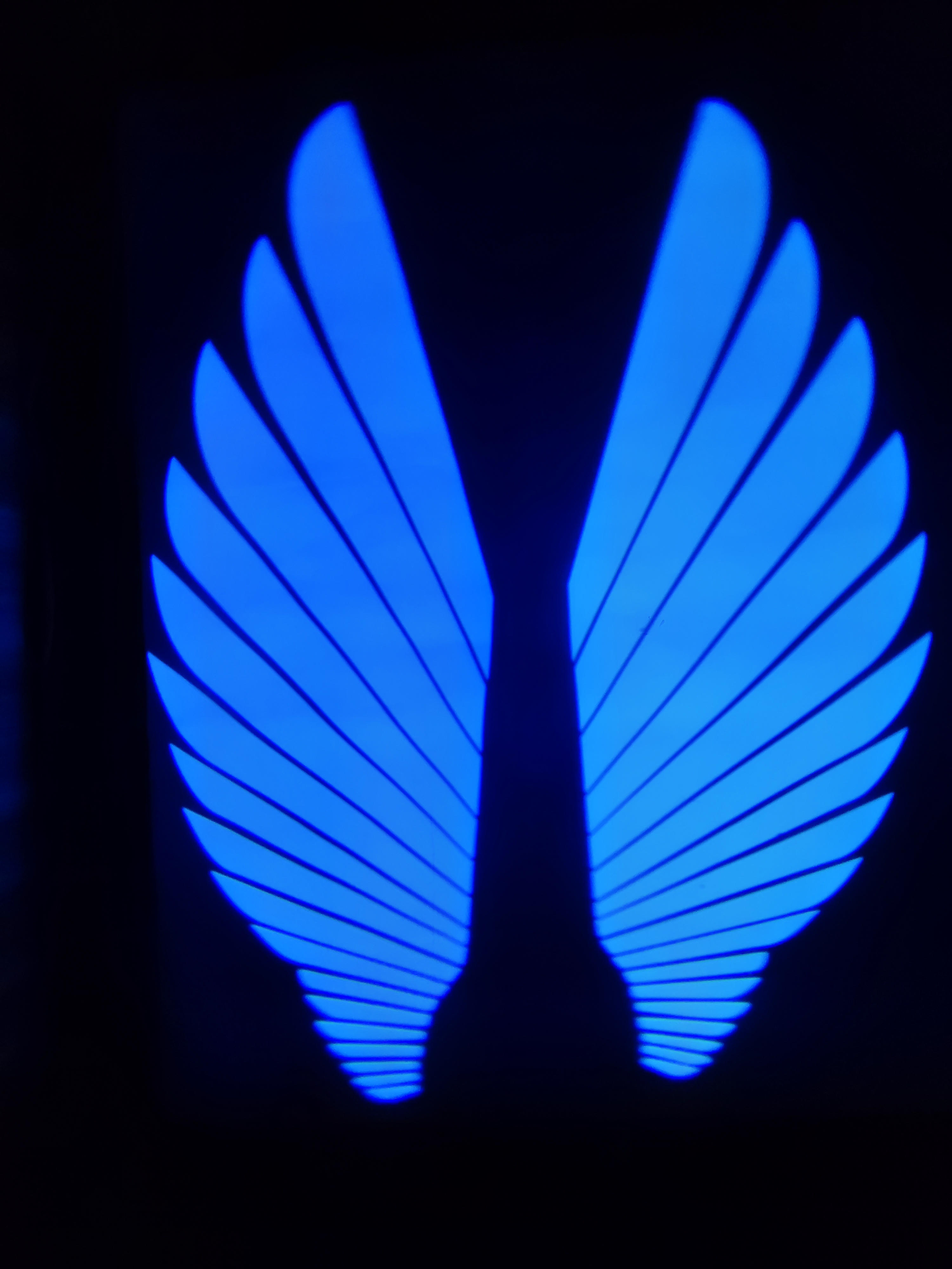 Angel Wings LED Light for Motorcycles & Bikes – Blue Carpet Projection Underglow Light